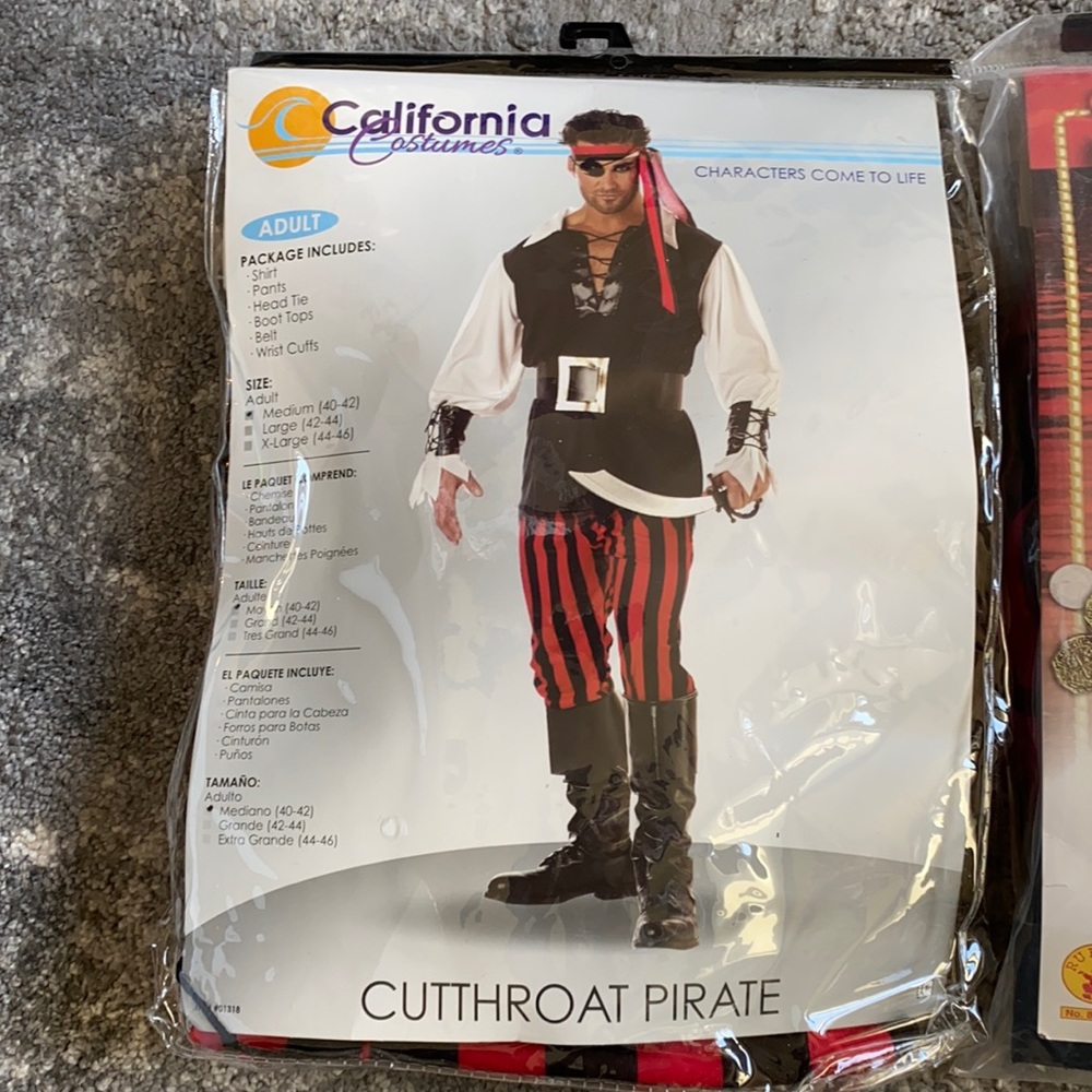 Pirate costume for men